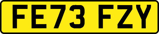 FE73FZY