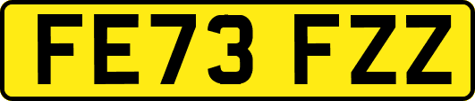 FE73FZZ