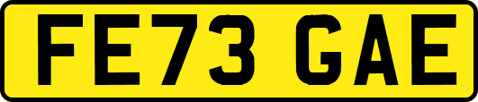 FE73GAE