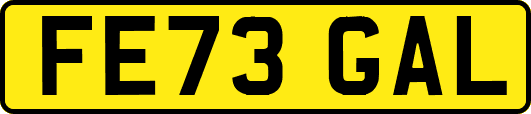 FE73GAL