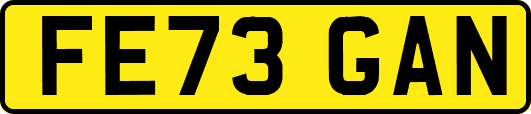 FE73GAN
