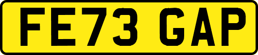 FE73GAP