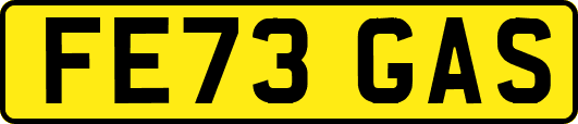 FE73GAS