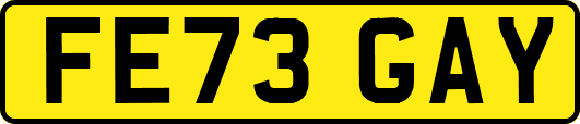 FE73GAY