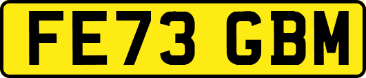 FE73GBM