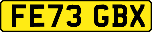 FE73GBX