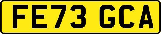 FE73GCA
