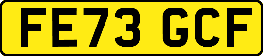 FE73GCF