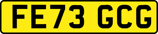 FE73GCG