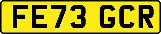 FE73GCR
