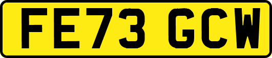 FE73GCW