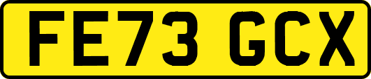 FE73GCX