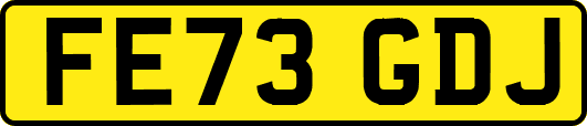 FE73GDJ