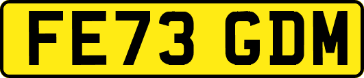 FE73GDM