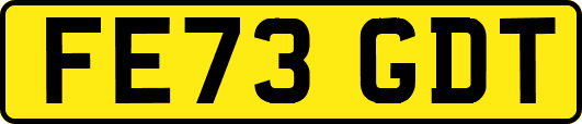 FE73GDT