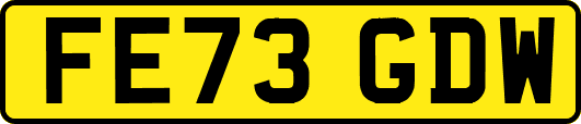 FE73GDW