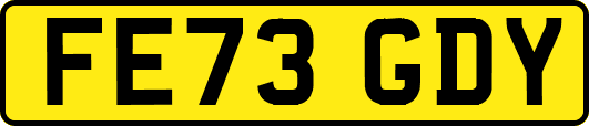 FE73GDY