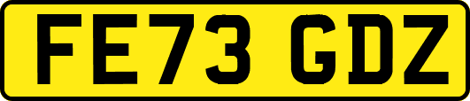 FE73GDZ
