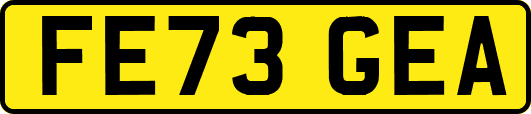FE73GEA