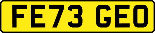 FE73GEO