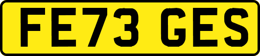 FE73GES