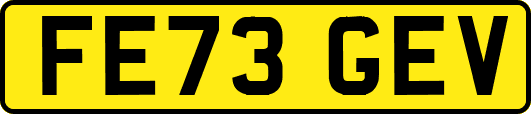 FE73GEV