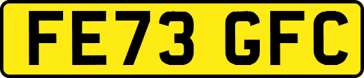 FE73GFC