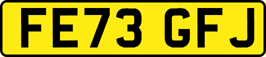FE73GFJ
