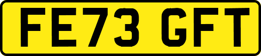 FE73GFT