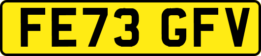 FE73GFV