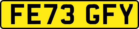 FE73GFY