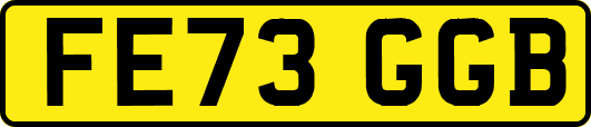 FE73GGB