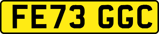 FE73GGC