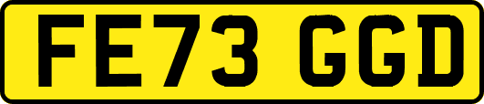 FE73GGD