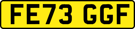 FE73GGF