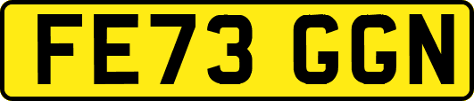 FE73GGN