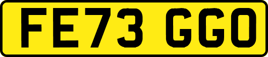 FE73GGO