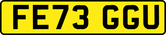 FE73GGU