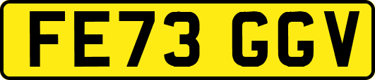 FE73GGV