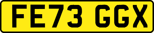 FE73GGX