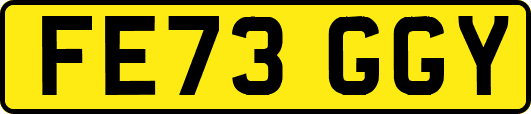 FE73GGY