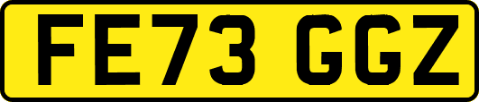 FE73GGZ