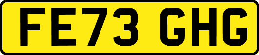 FE73GHG
