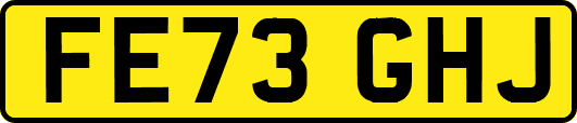 FE73GHJ