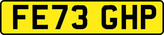 FE73GHP