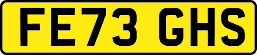FE73GHS