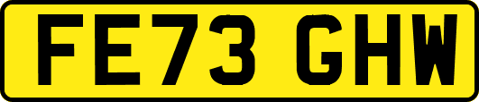FE73GHW