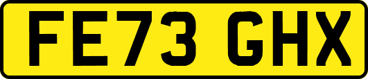 FE73GHX
