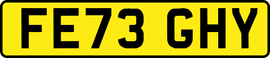 FE73GHY