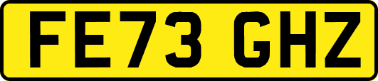 FE73GHZ
